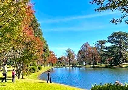 Fantástico Studio Royal Laje de Pedra MV (3022)