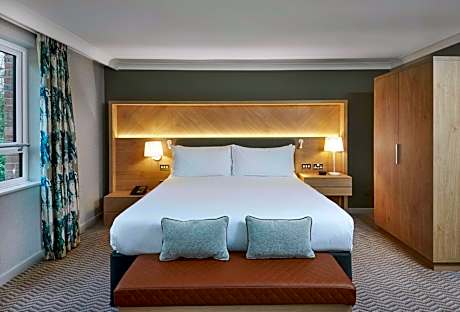 Junior Wellness King Suite