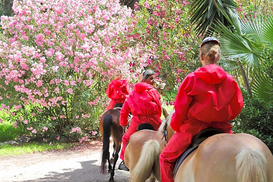 Hotel with swimming-pool in Arborea just 600 meters from the sea