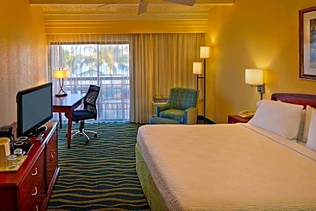 Room, 1 King Bed
