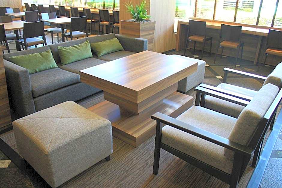 The Hedistar Hotel Narita