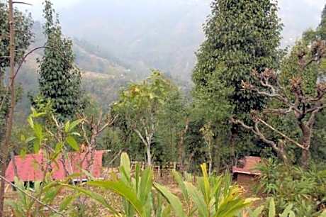 VAMOOSE TRAVELLERS FARM