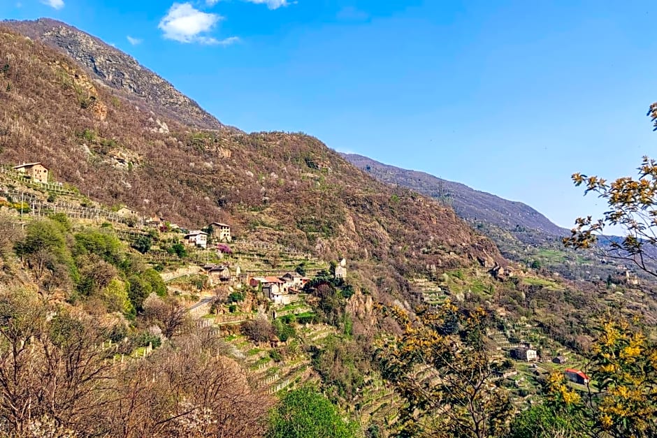 B&B Al Vecchio Torchio