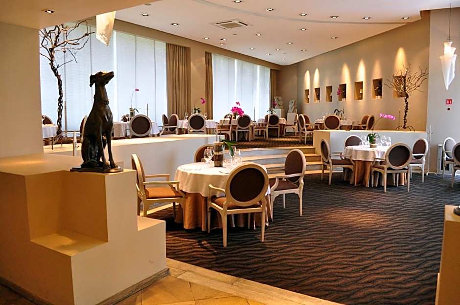 Royal Pedregal