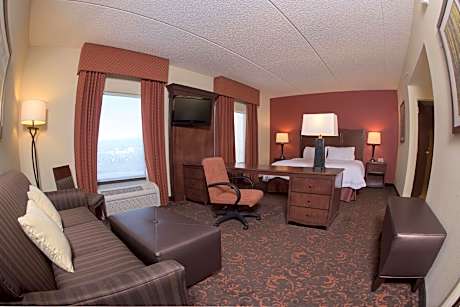 1 King Hearing Access Studio W/sofabed Ns Vis Firealrm/door/phn Alrt/sofabed Microwv/fridge/wetbar/f