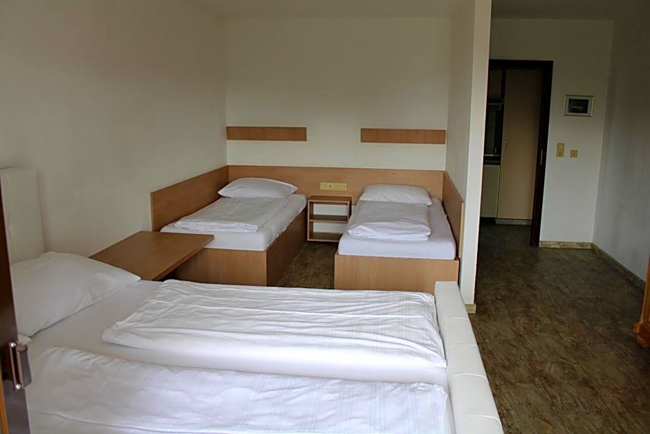 Apparthotel Alte Innbrücke-24Std-Self-Check in-Haustiere Willkommen