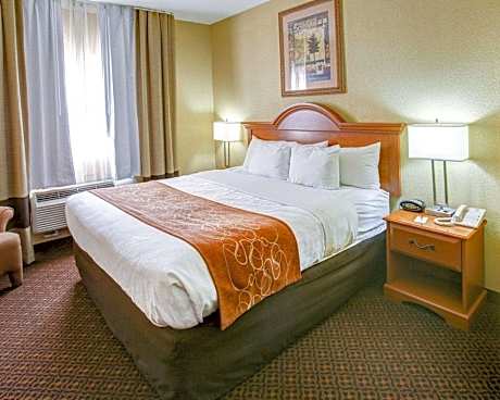 1 King Bed Suite Nonsmoking