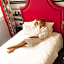 Hotel Fabric