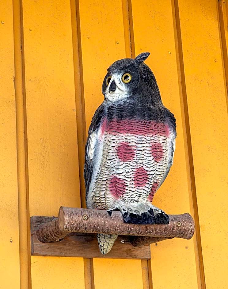 Sandmoen Bed & Breakfast, Free Parking