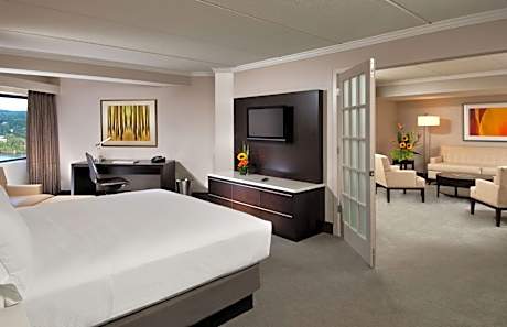 1 King Bed Suite