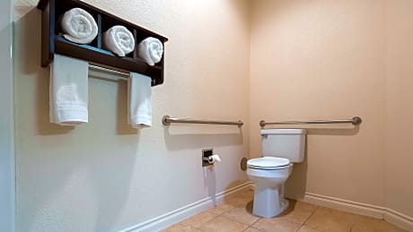 Accessible - 1 King, Mobility Accessible, Roll In Shower, High Speed Internet Access, Non-Smoking, F