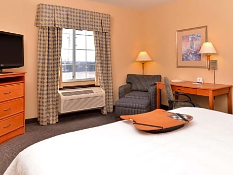 1 King Mobility/Hearing Acc Ri Shower Nosmok