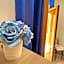 ACHILLE HOME B&B SORRENTO