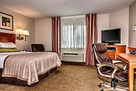 Queen Studio Suite