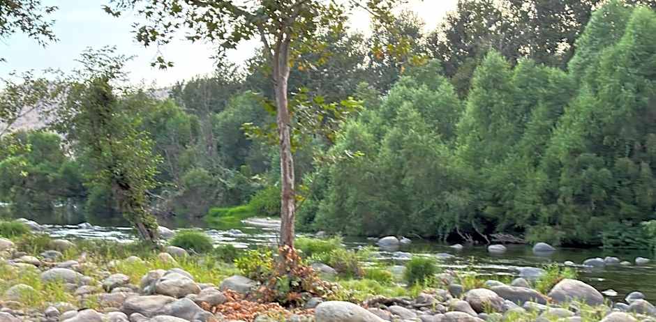 Sequoia River Front Cabins