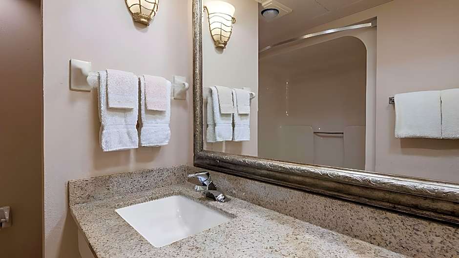 Best Western Spring Hill Inn & Suites