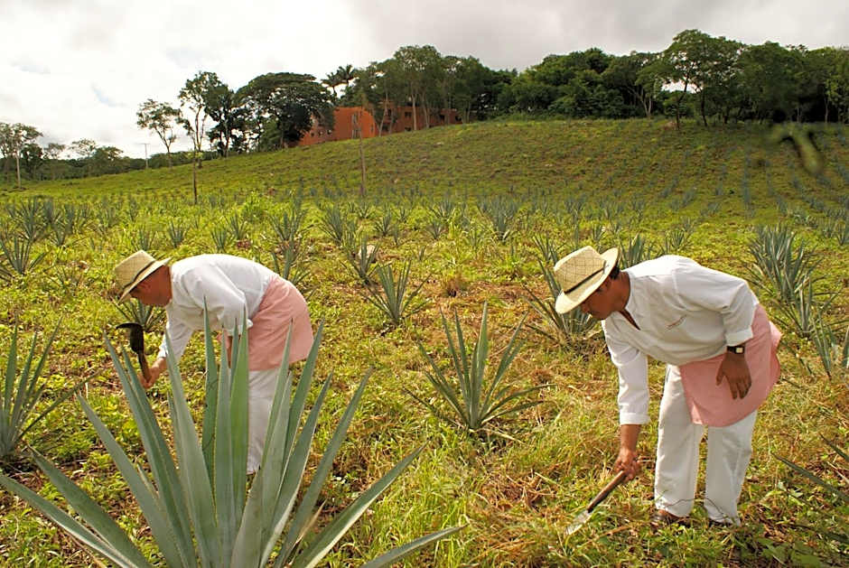 Hacienda Uxmal Plantation & Museum