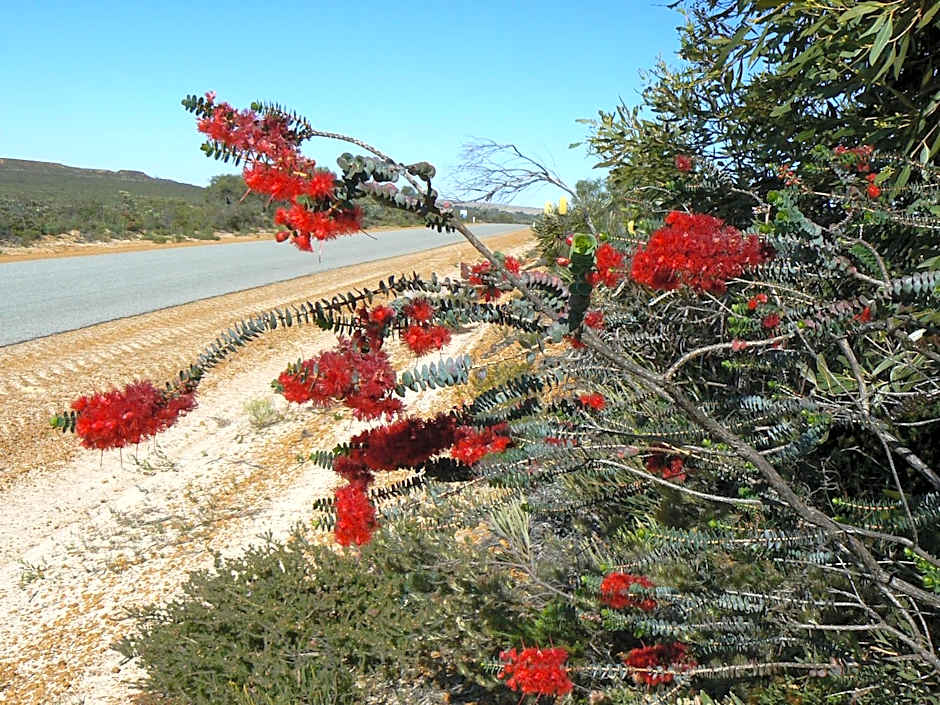 Centrebreak Beach Stay