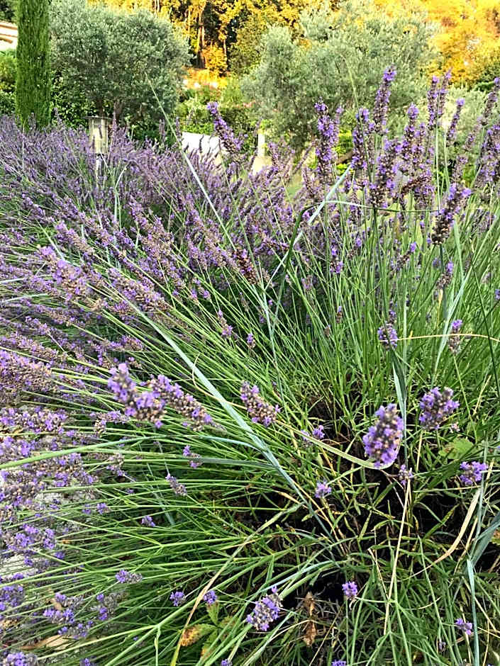 Bastide Nomade - guest house