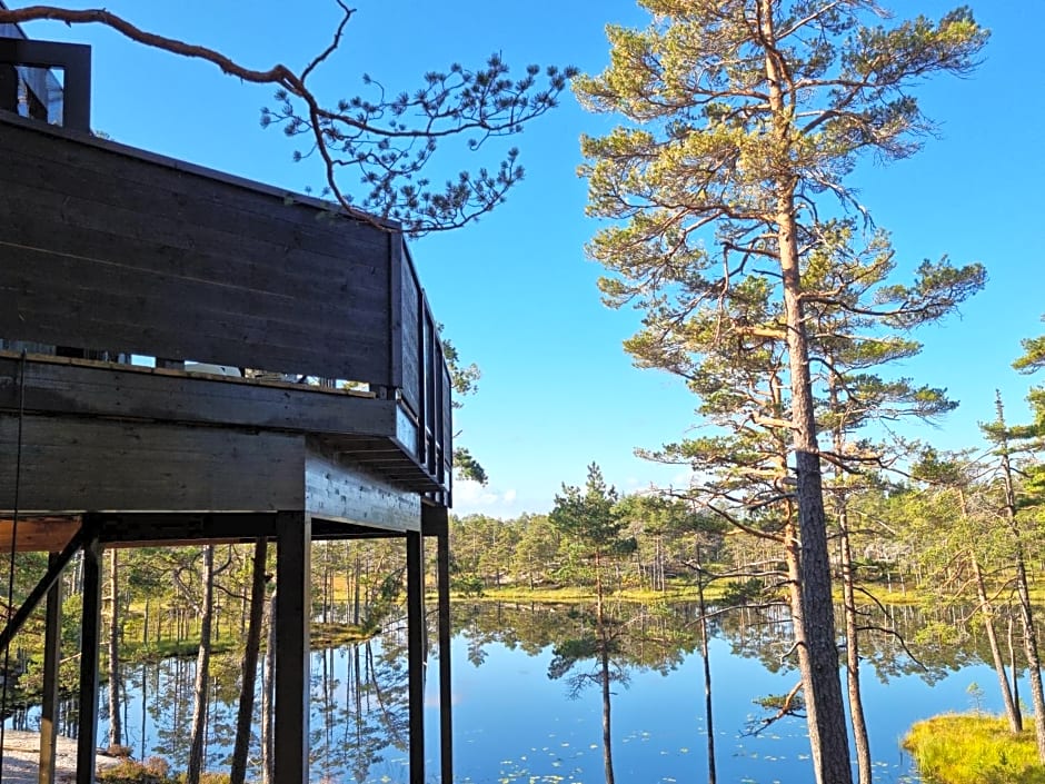 Iveland Tree Top Panorama