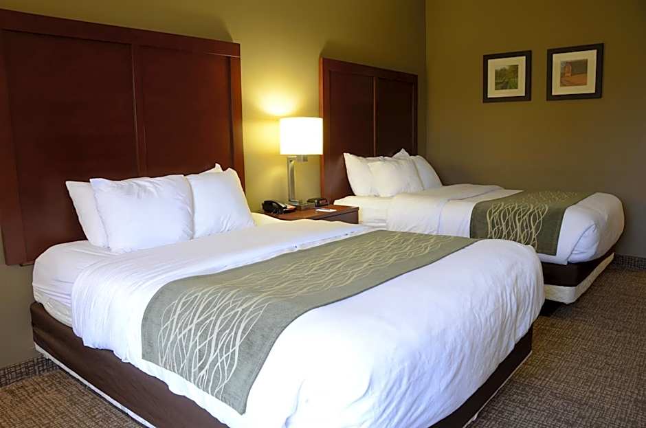 Comfort Inn & Suites Cave City