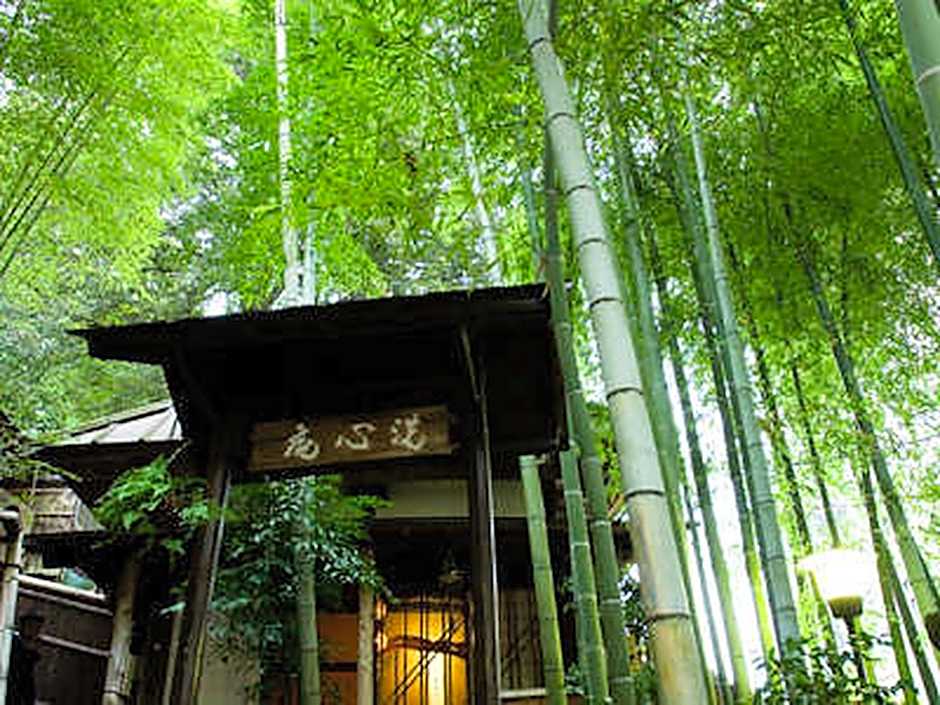 Yasashisanoyado Chikutei