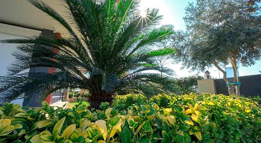 Avullar Palace Hotel