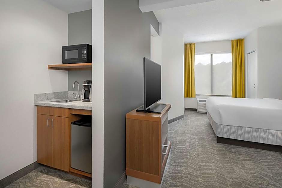 SpringHill Suites by Marriott Athens West