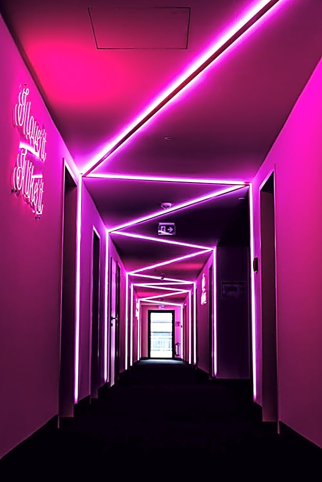 The Flamingo