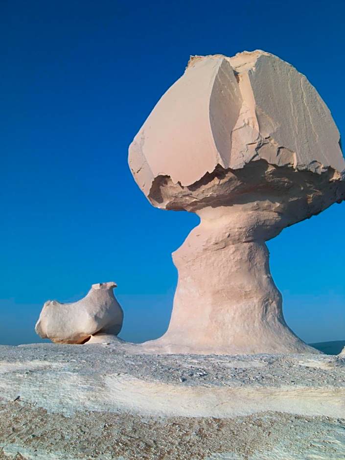 Oasis Panorama Hotel