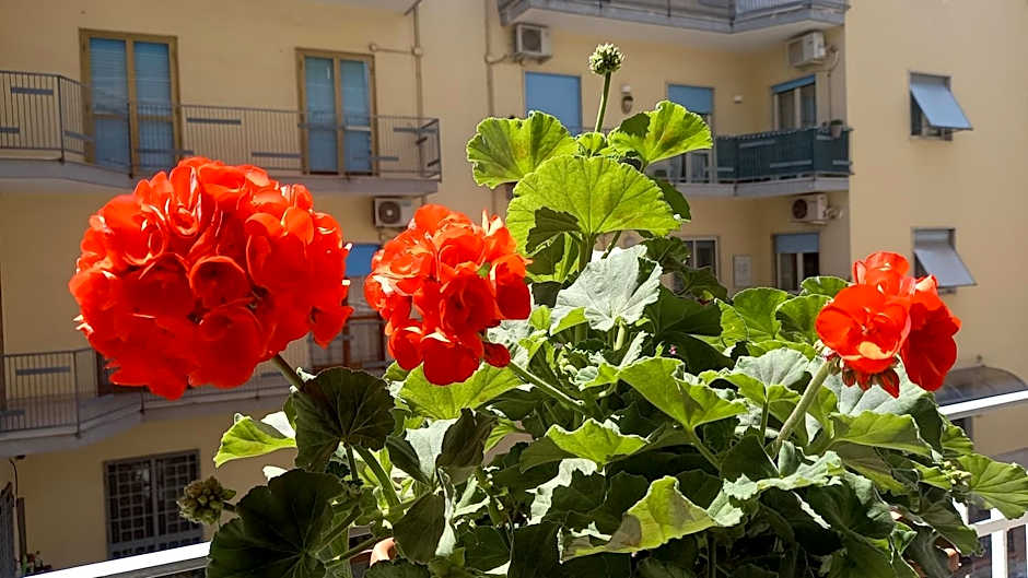 B&B Maestra Giovanna