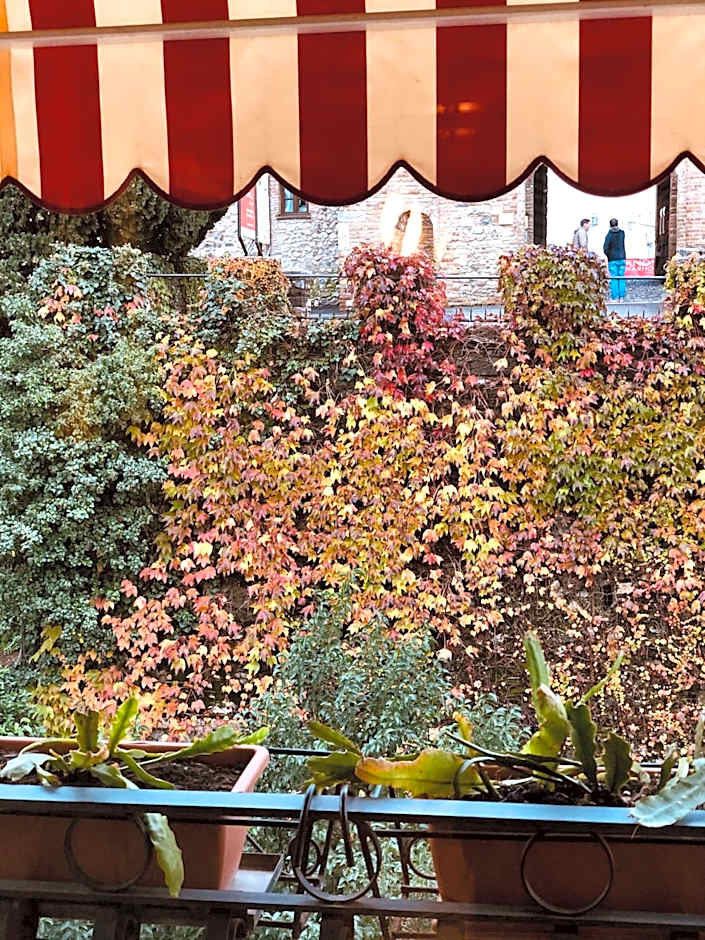 The Tower Of The Old King