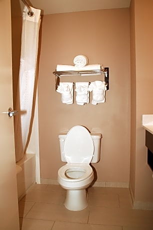 1 King Suite