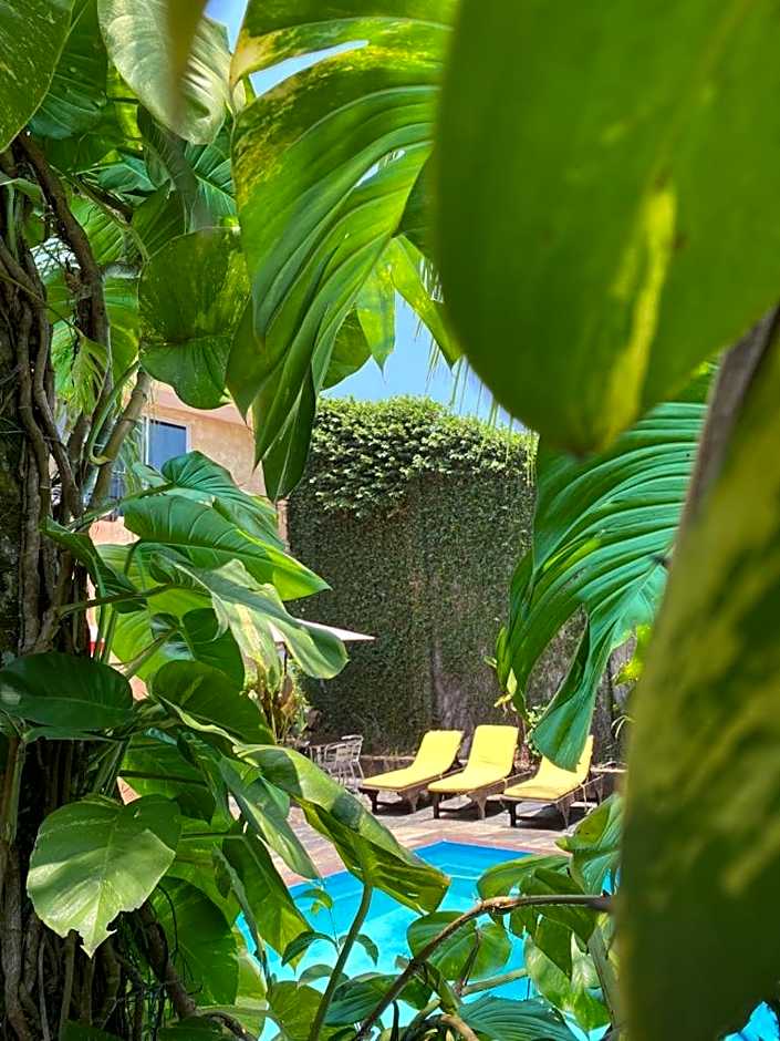 Hotel Camino Surreal Xilitla