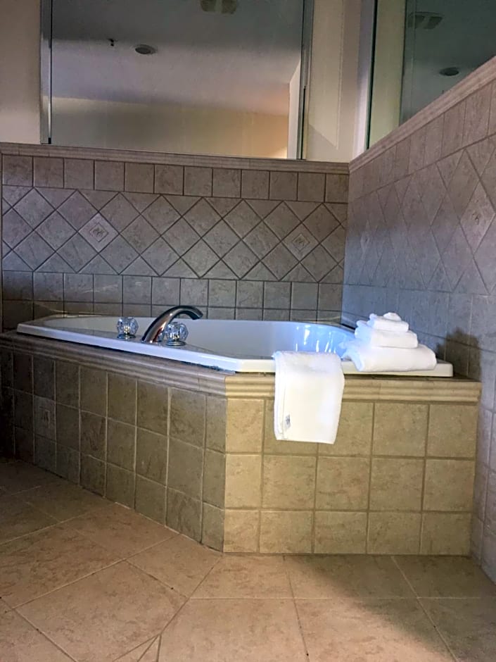 Microtel Inn & Suites By Wyndham Indianapolis Airport
