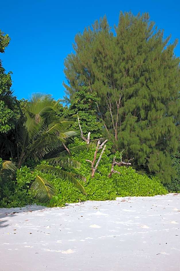 Le Relax Luxury Lodge