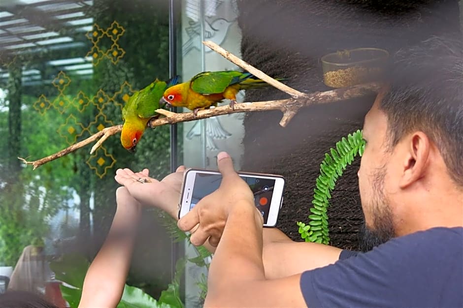 Aviary Bintaro