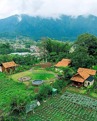 Green Lava Mountain View Cabin Bedugul by IHM