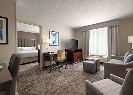One-Bedroom King Suite - Non-Smoking