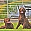Hotel Lagoon - Pet Friendly