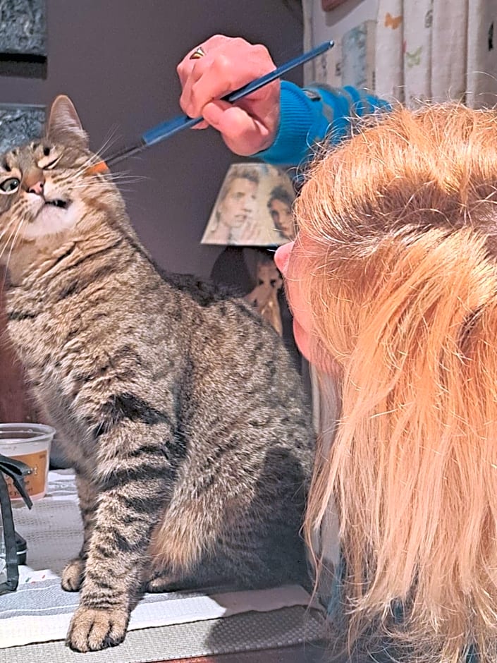 Port Levy B & B Christchurch