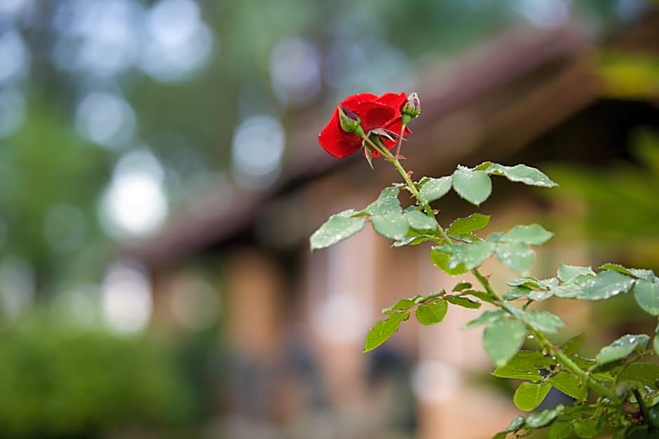 Pousada Fazenda Pinhalzinho