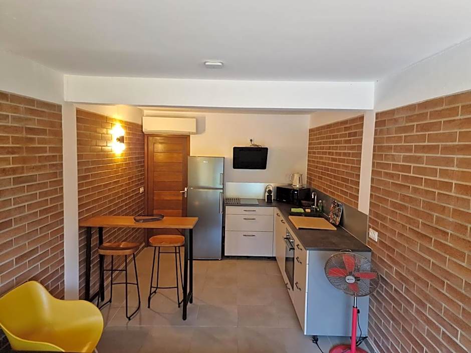 Shikoa Sobole - Le Morpho et l'Ara