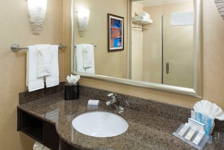 1 King Premium W/In-Room Drinks-Snacks