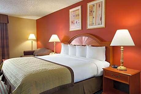 Deluxe King Room - Non-Smoking