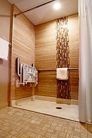 King Room with Mobility Accessible Roll-In Shower - Non-Smoking