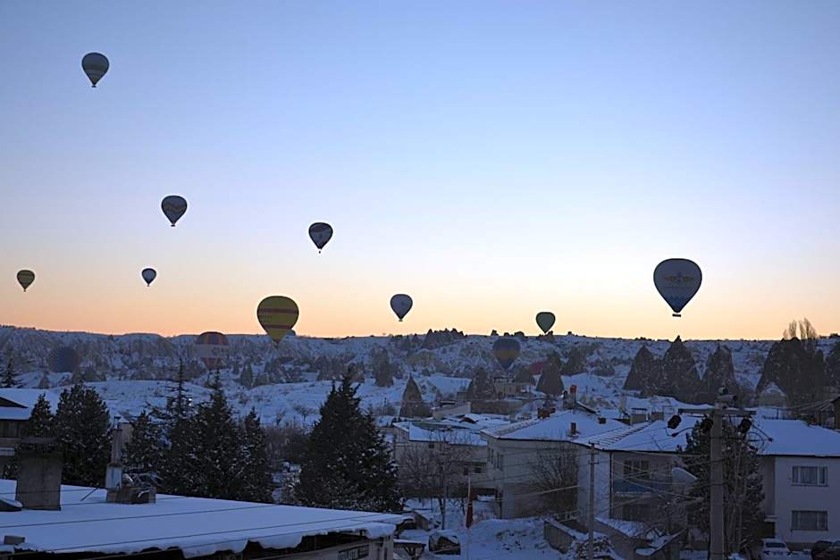 ShoeString Stone House