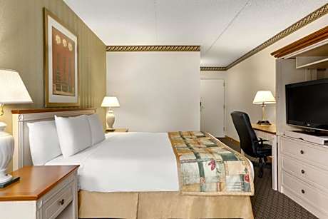 King Room - Non-Smoking