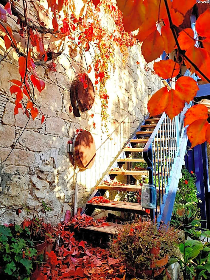 Ble Mavi - Studio for 2