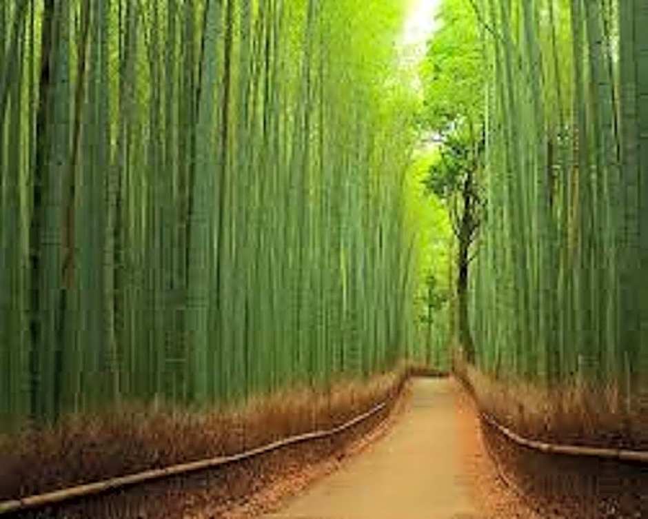 Premiere Classe Ales